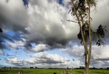 有容乃大！日本顶级人妻在线！！！.